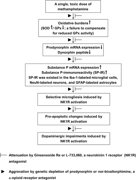 Fig. 10