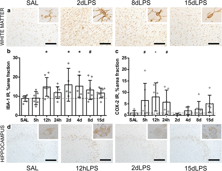 Chorioamnionitis, injury: timing key in the preterm ovine fetus | Journal of Neuroinflammation Full Text