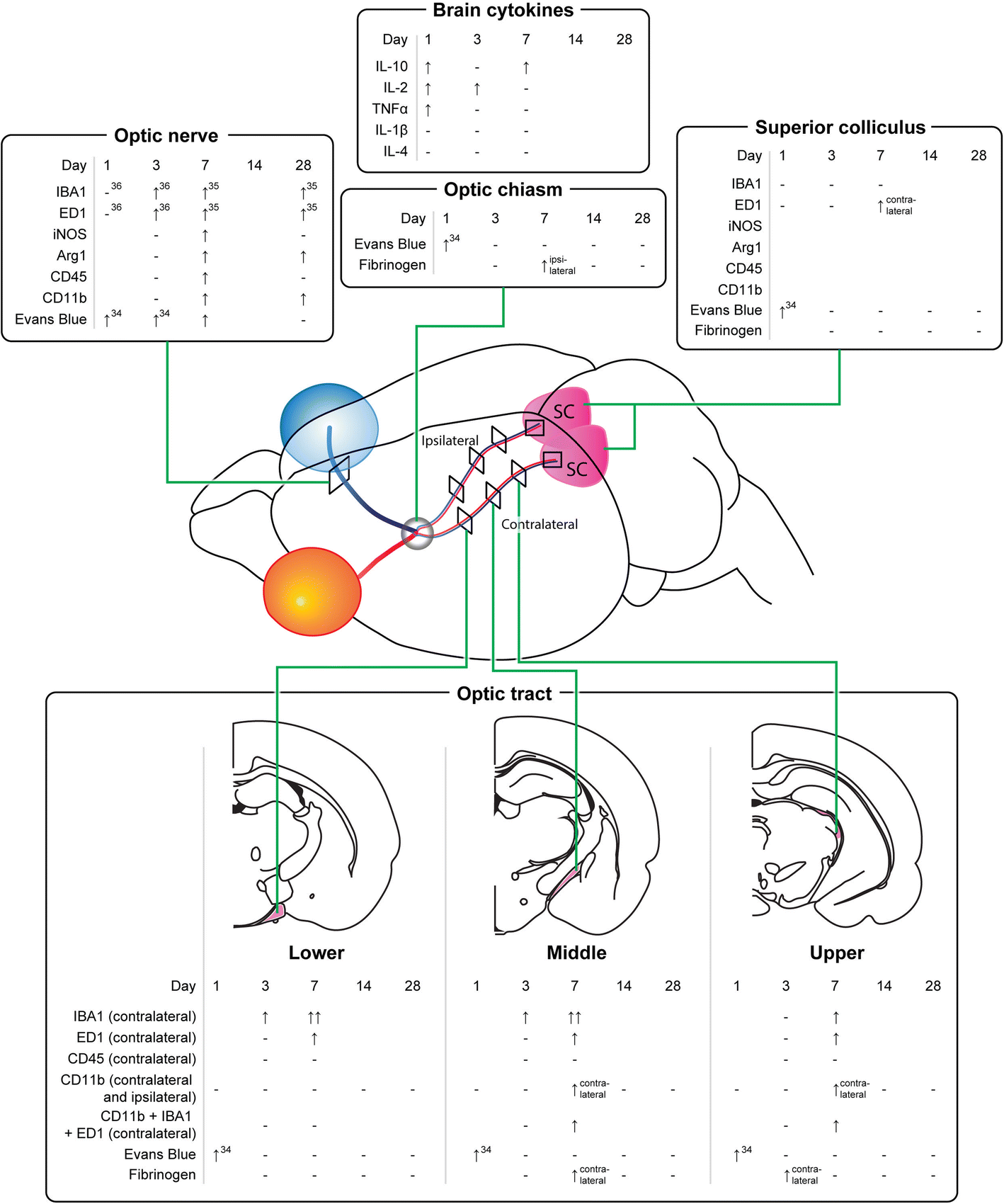 Fig. 13