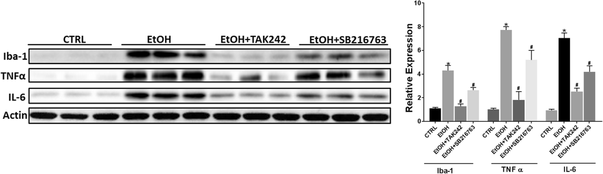 Fig. 8