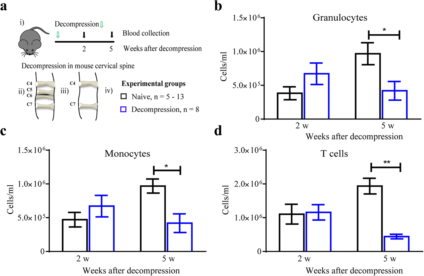 Fig. 5