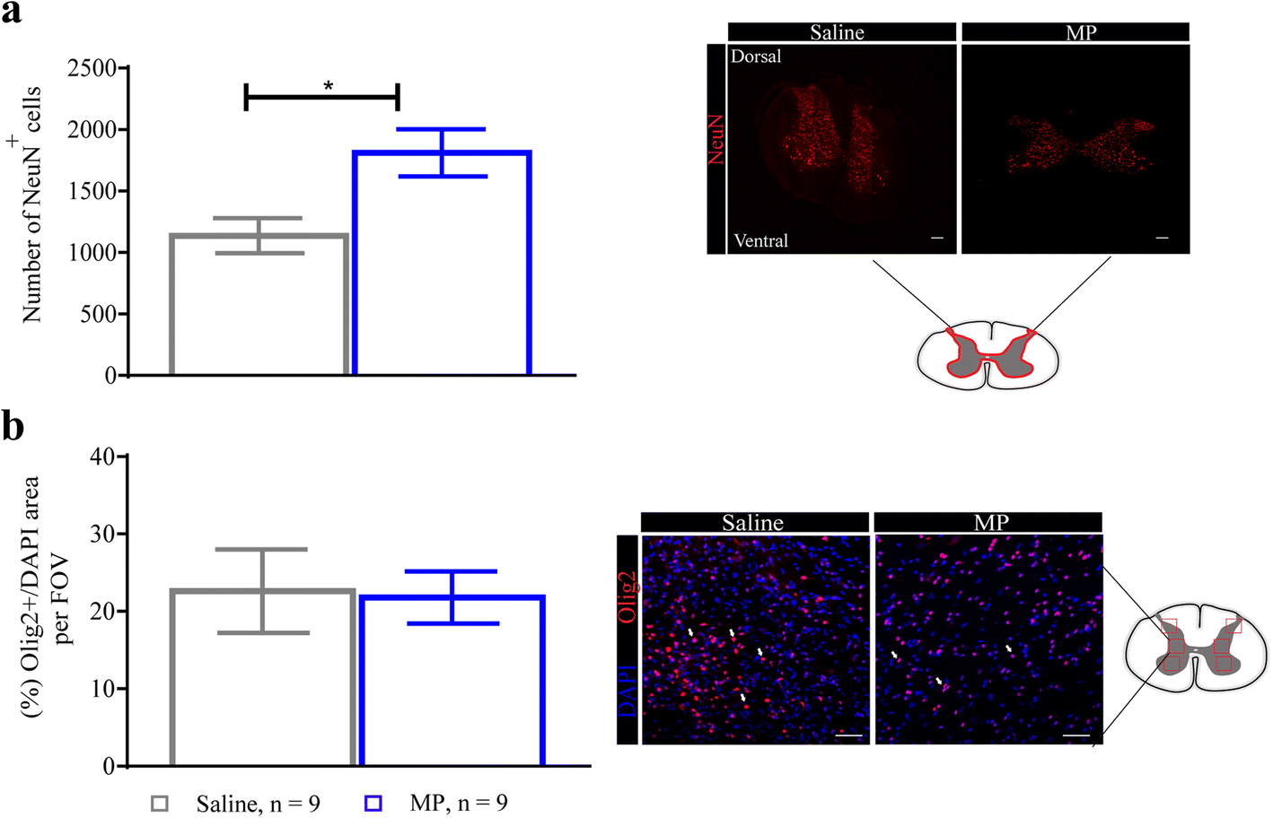 Fig. 8