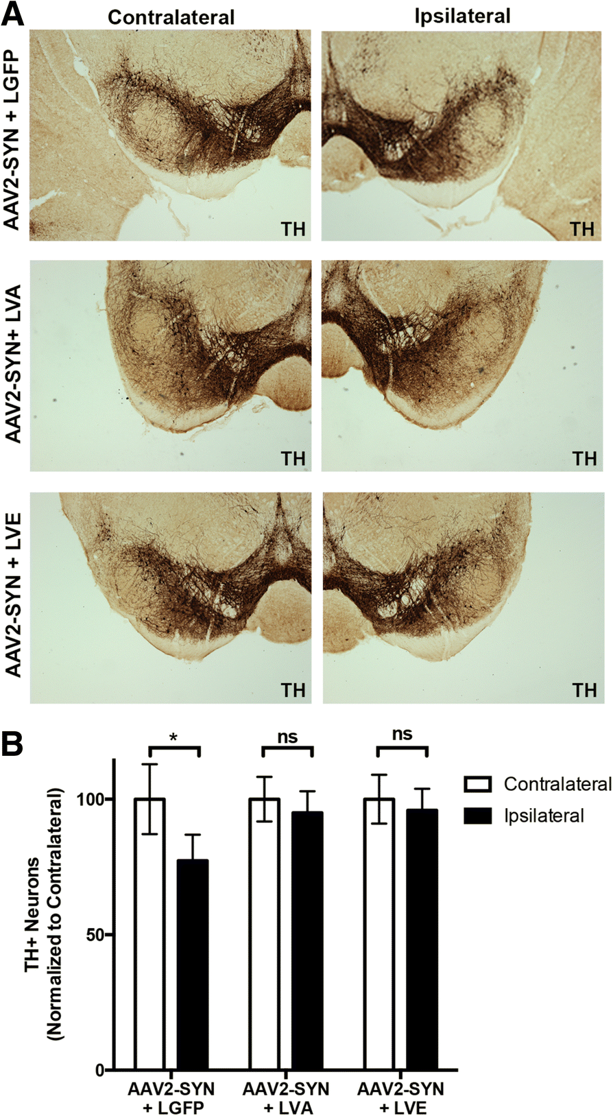 Fig. 5