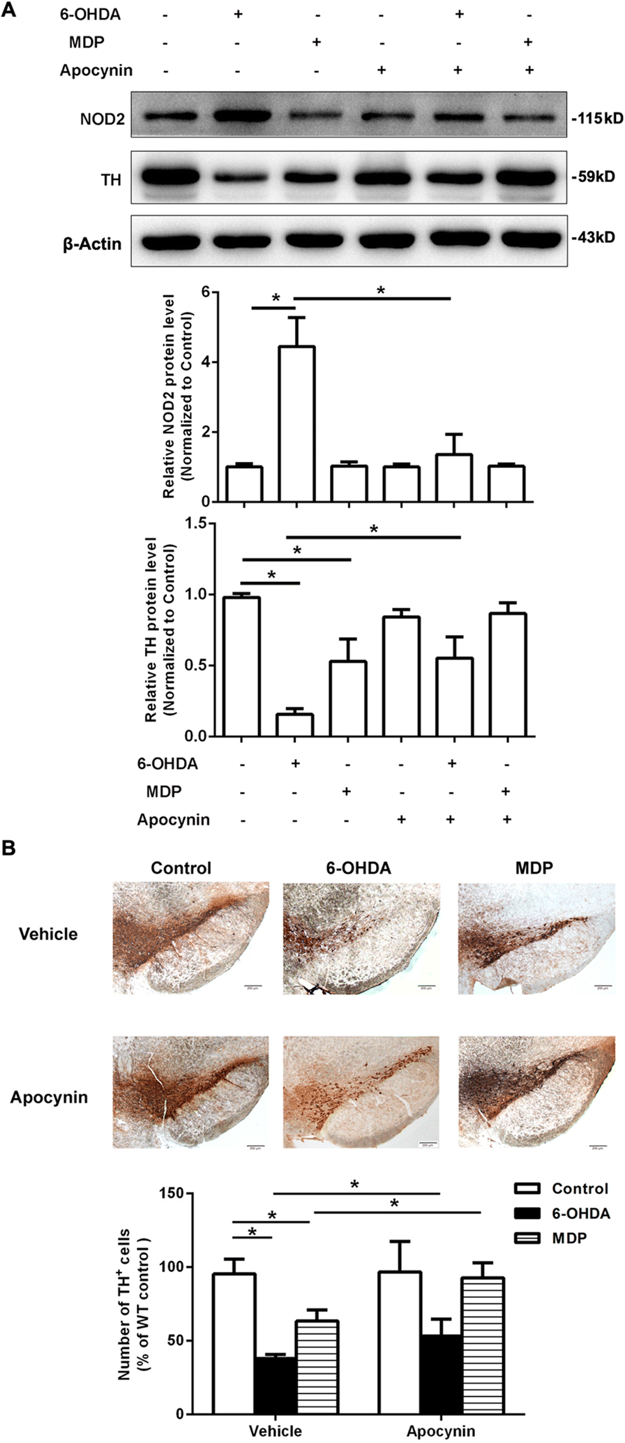 Fig. 9