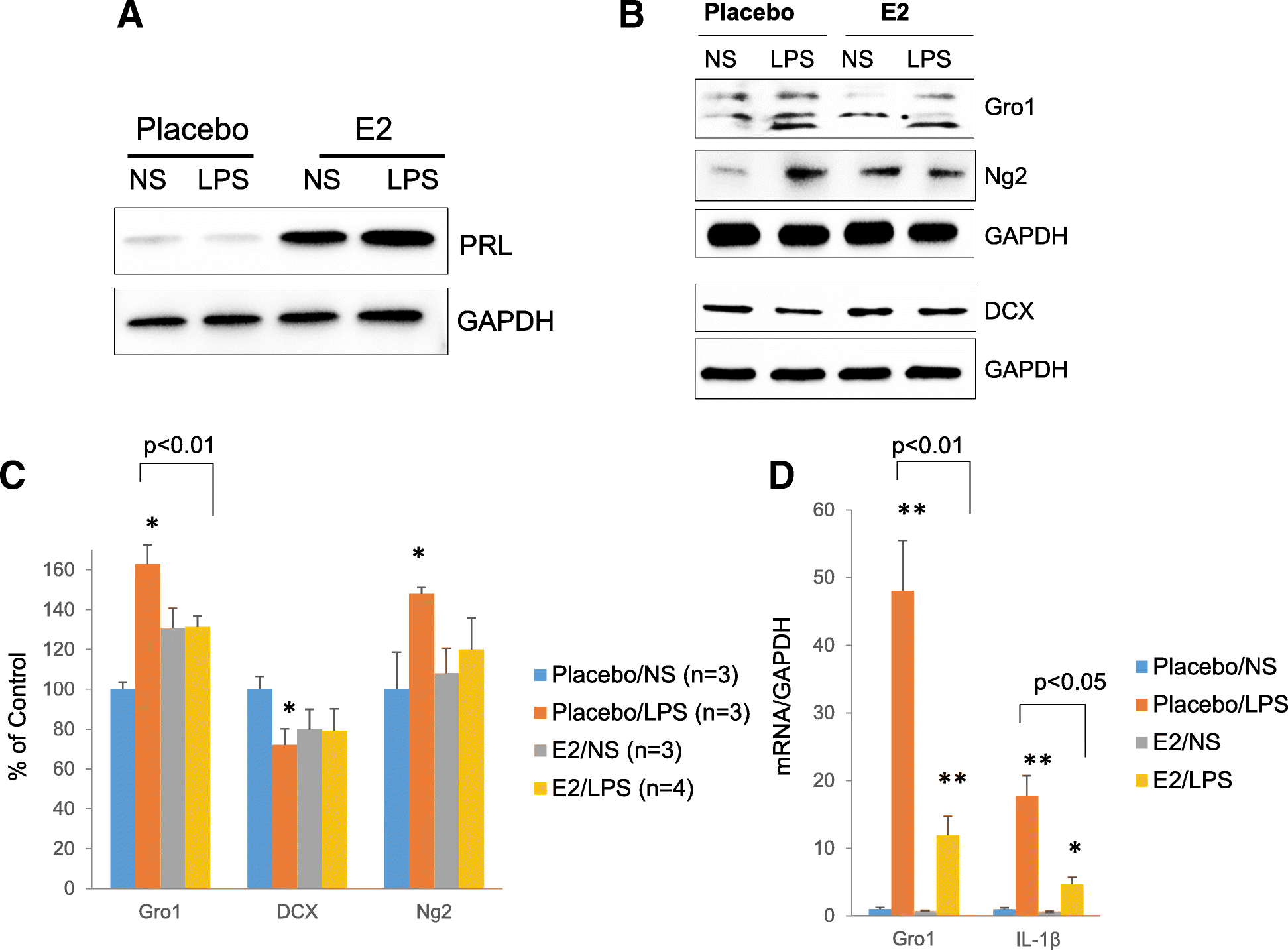 Fig. 12