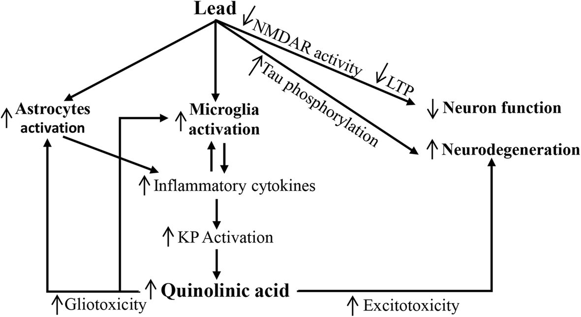 Fig. 8