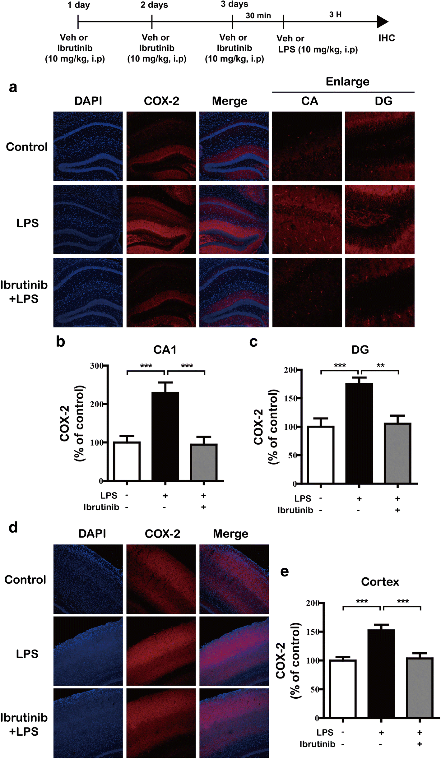 Fig. 11