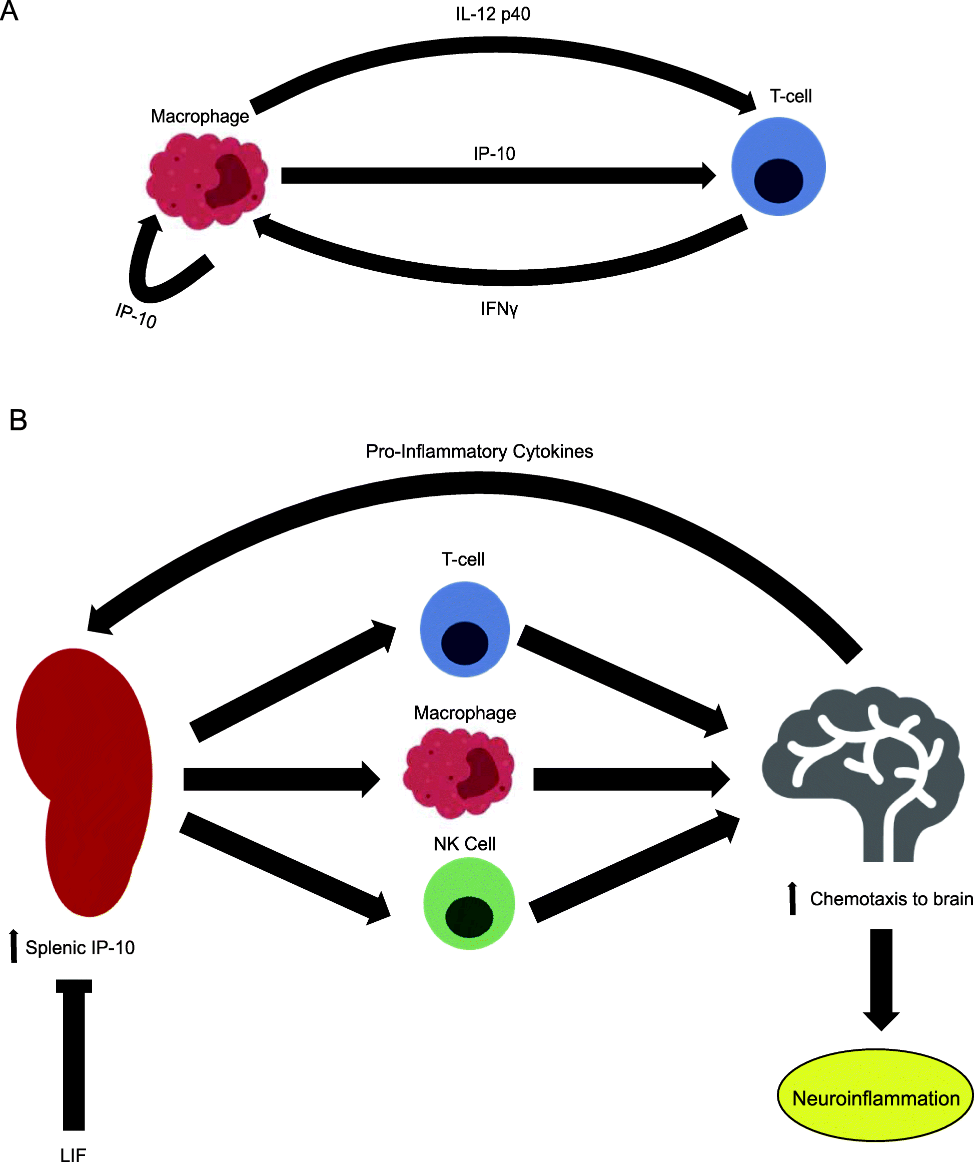 Fig. 13