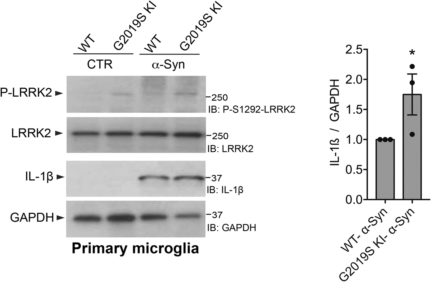 Fig. 5