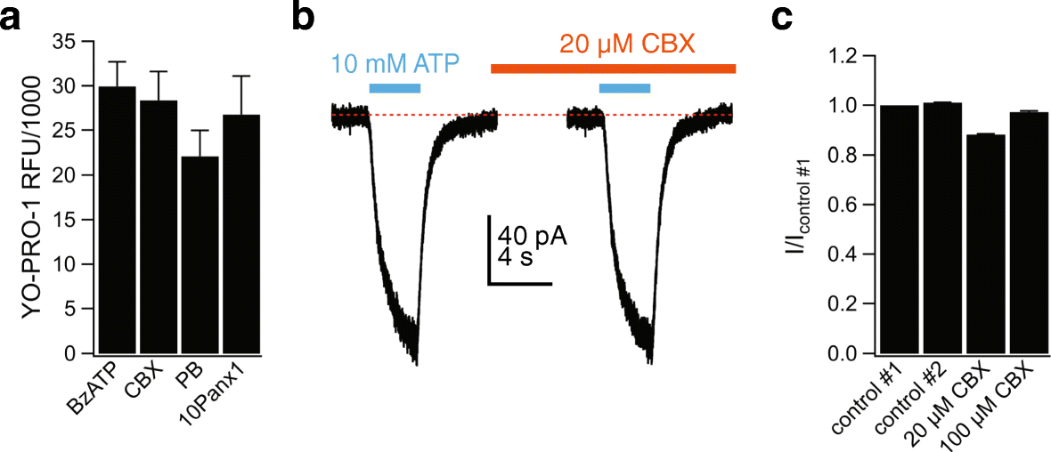 Fig. 8