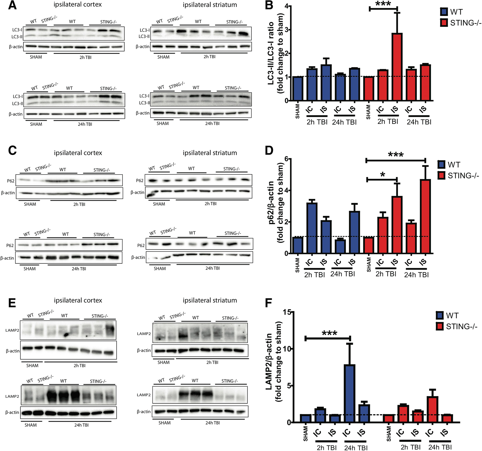 Fig. 10