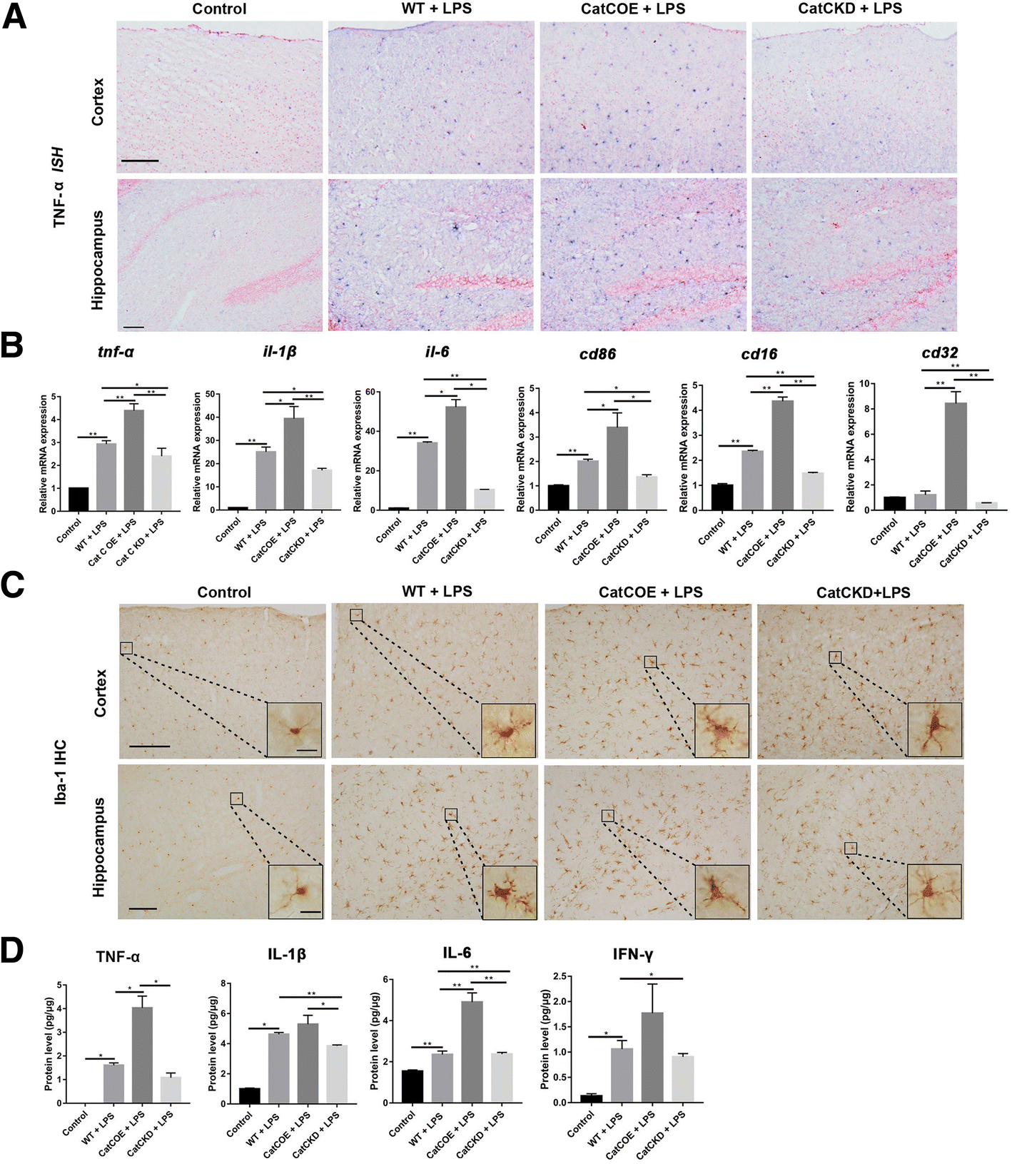 Fig. 4