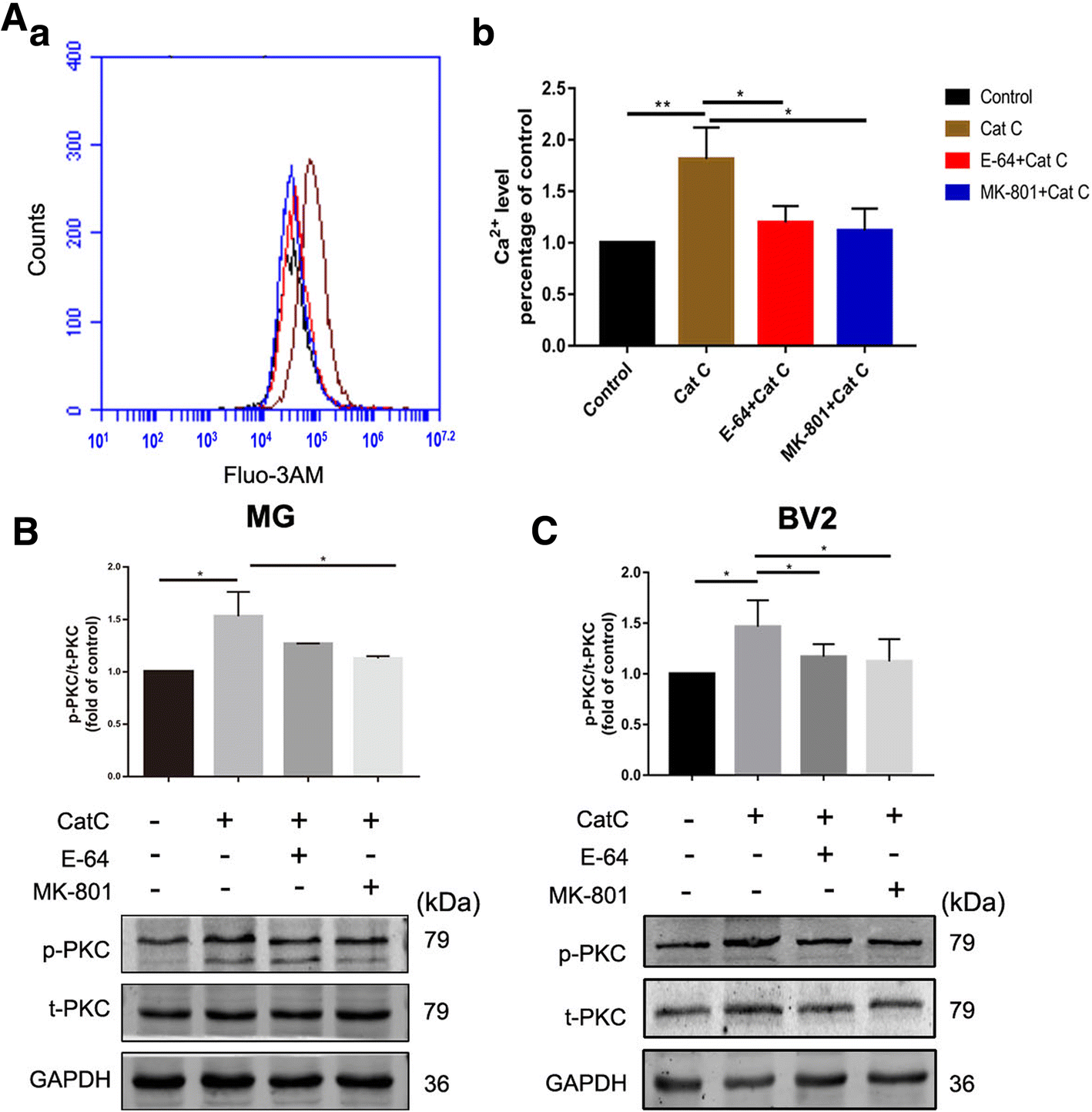 Fig. 8