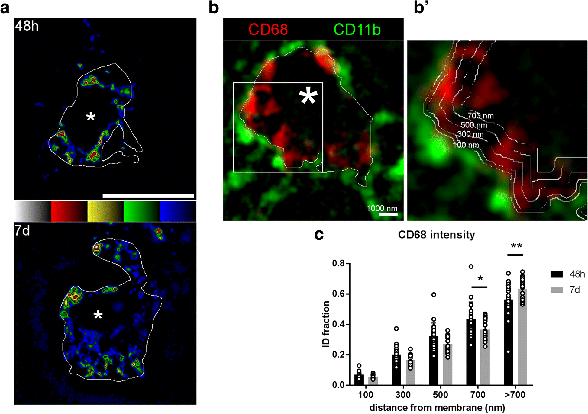 Fig. 4