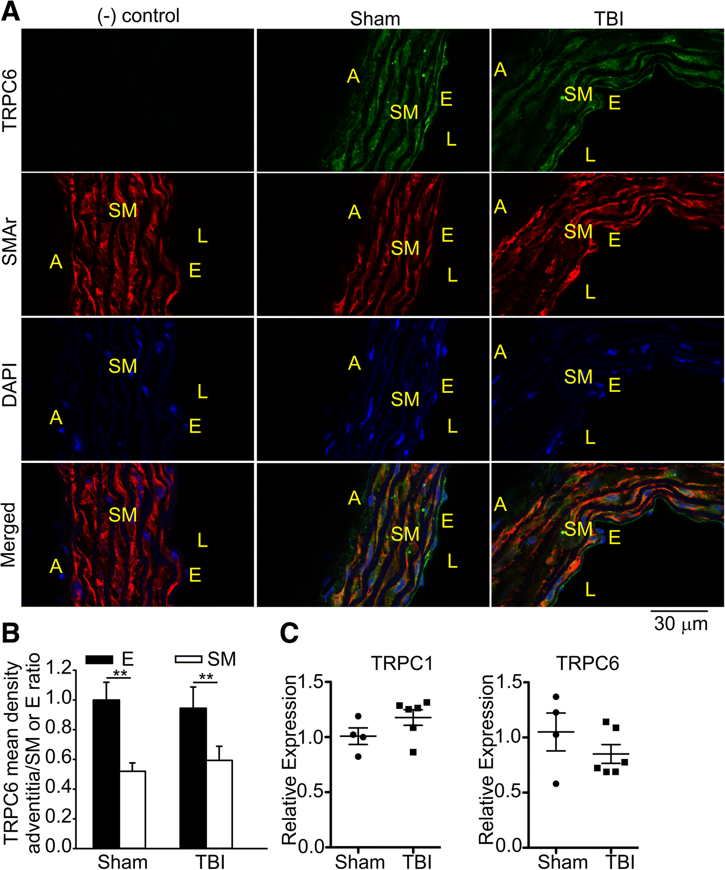 Fig. 9