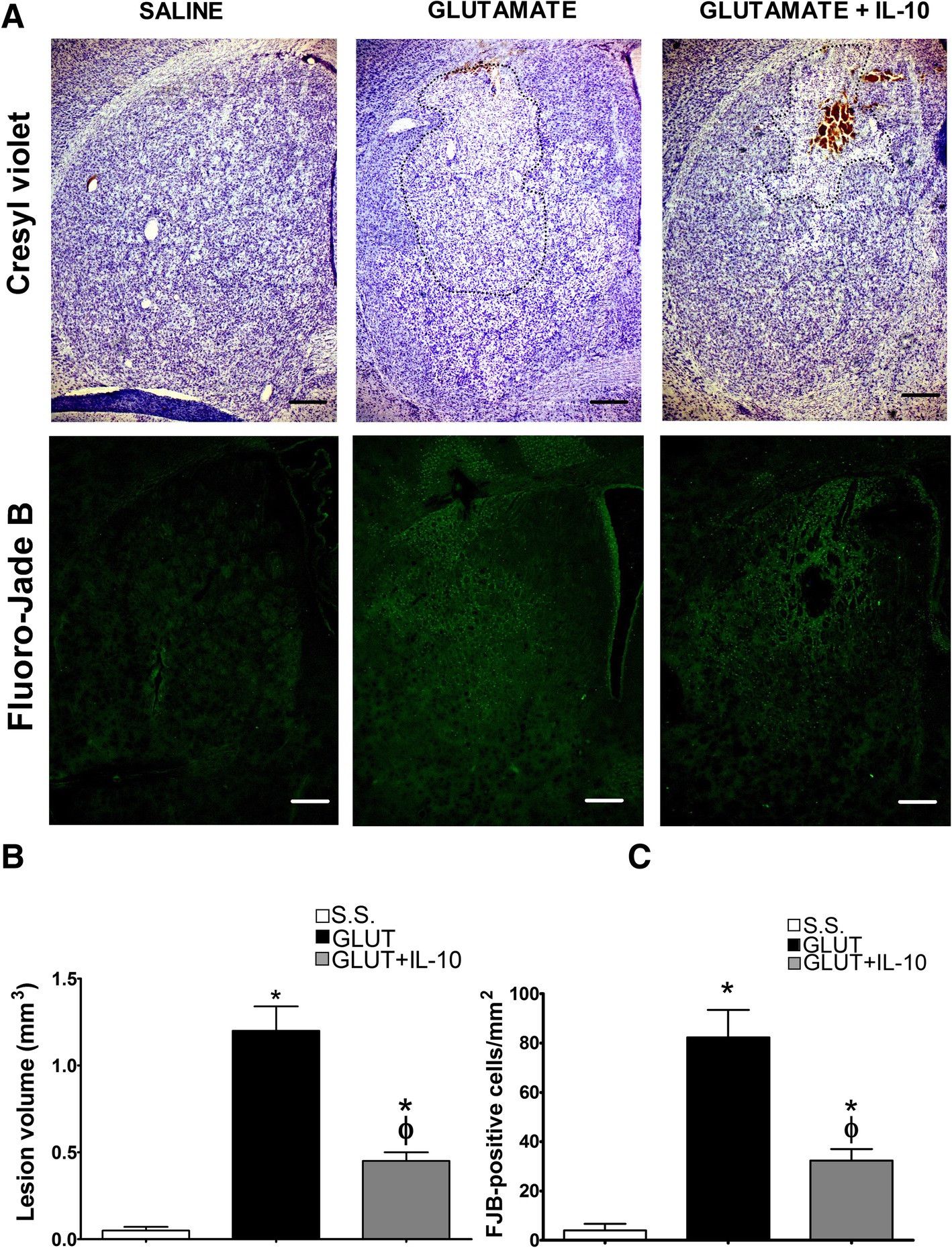 Fig. 10