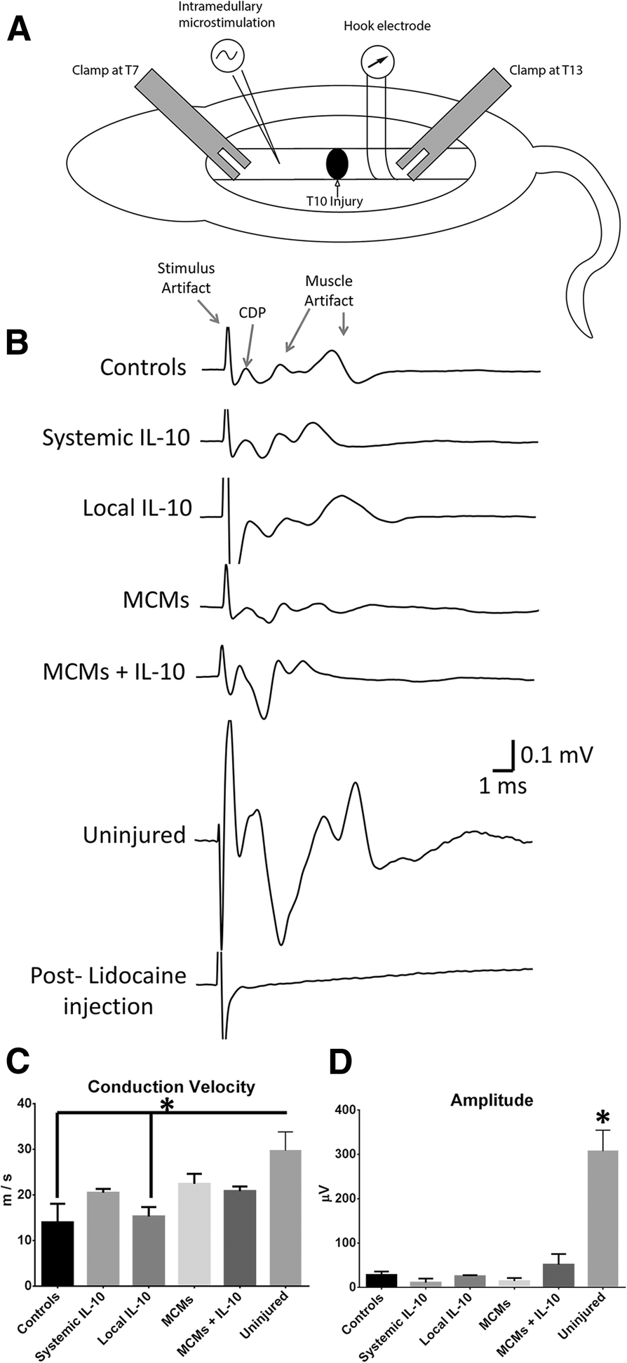 Fig. 11