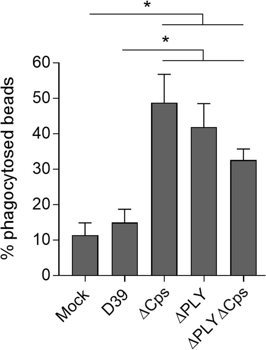 Fig. 7