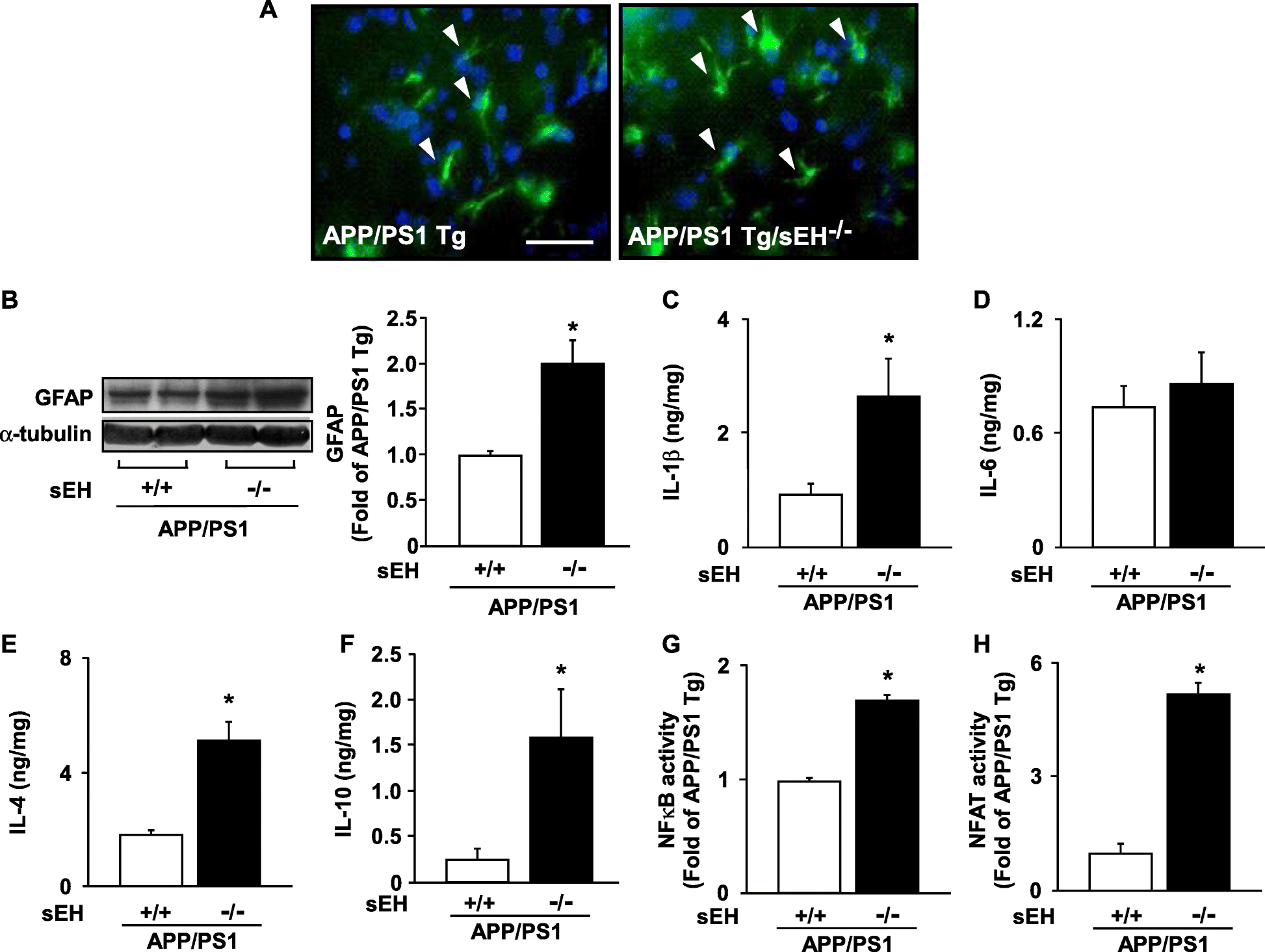 Fig. 5