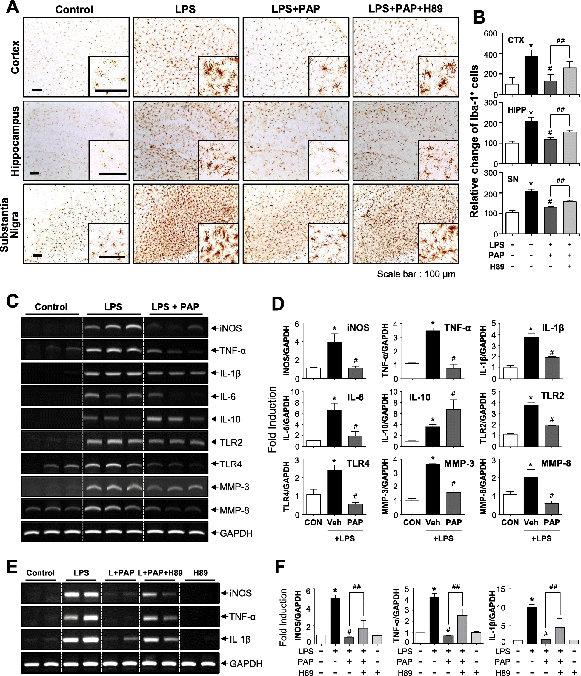 Fig. 6