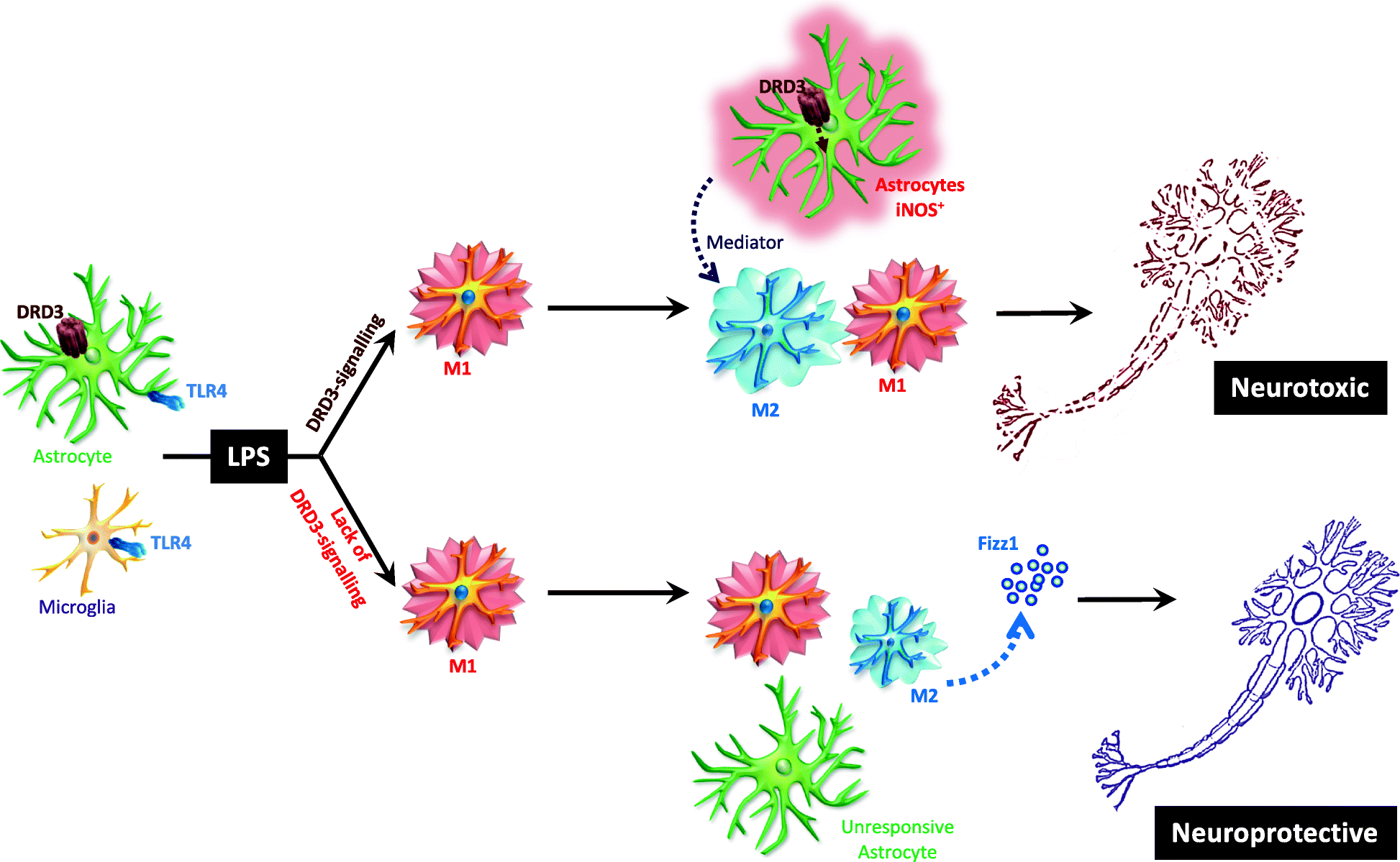 Fig. 10