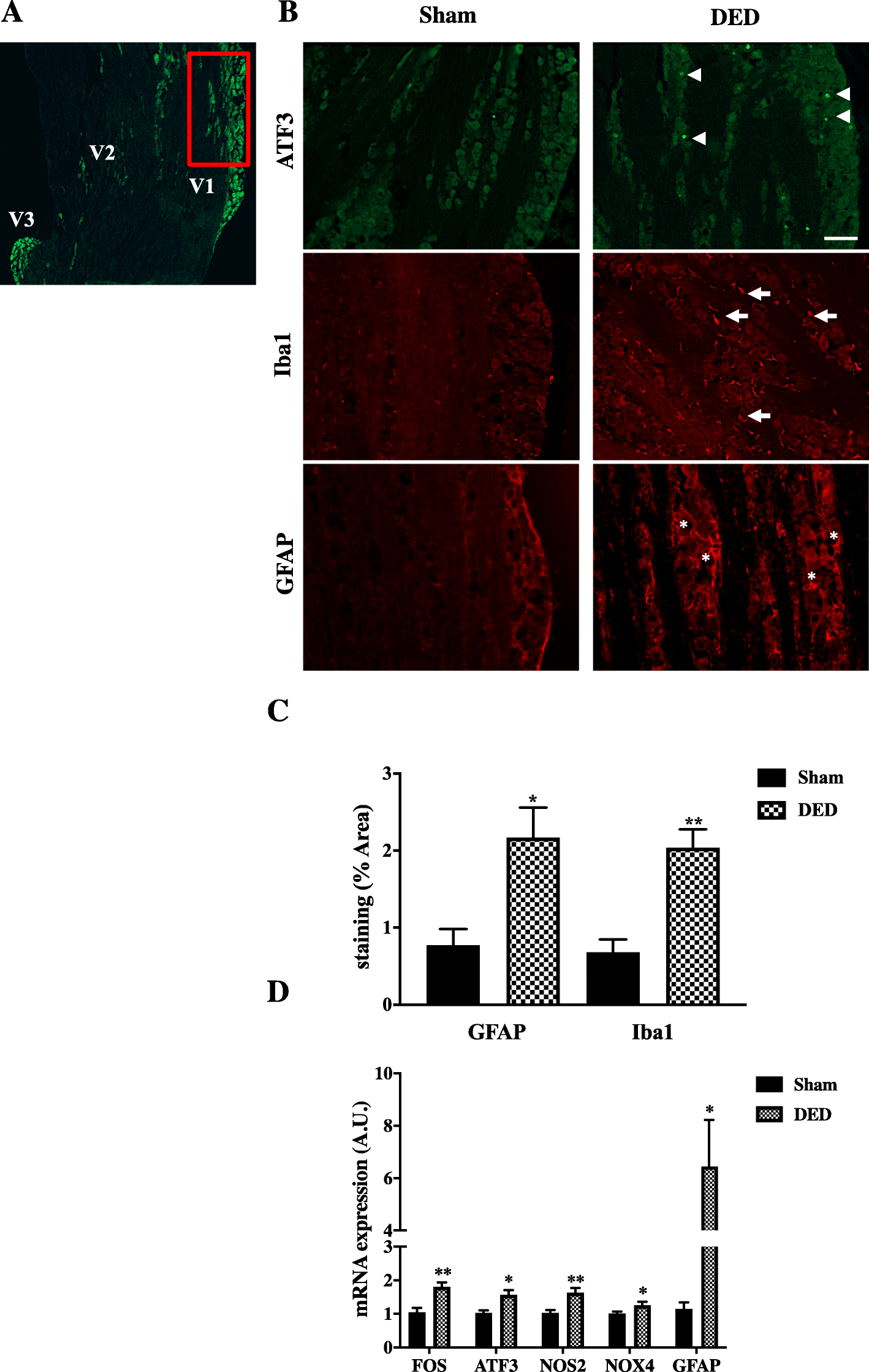 Fig. 9