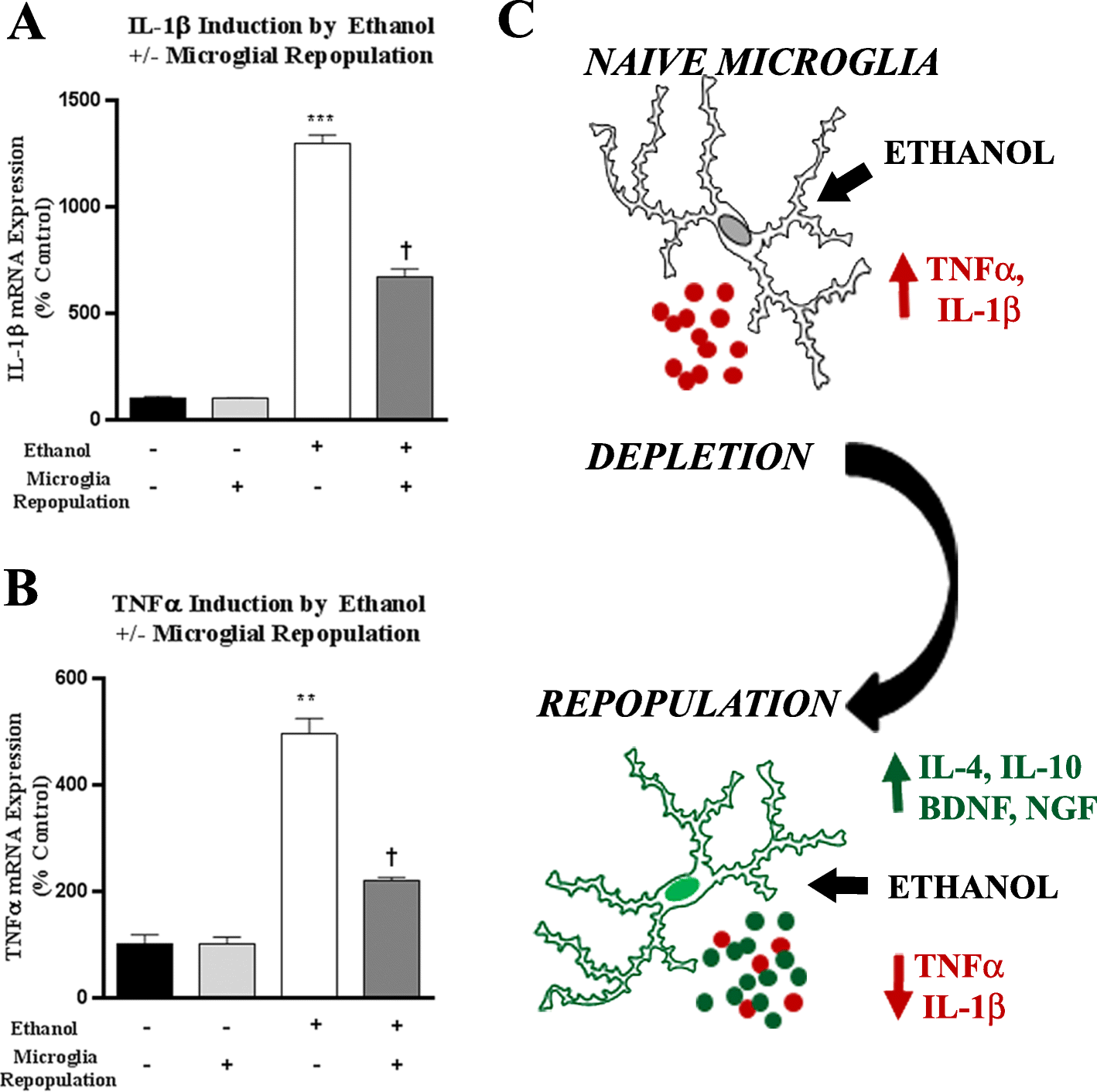 Fig. 10