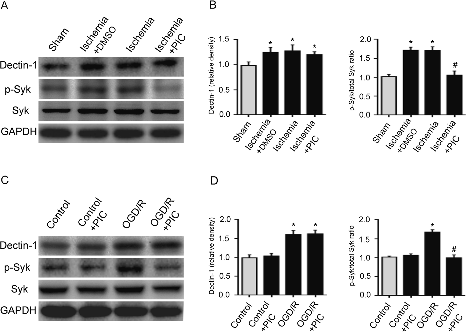 Fig. 8