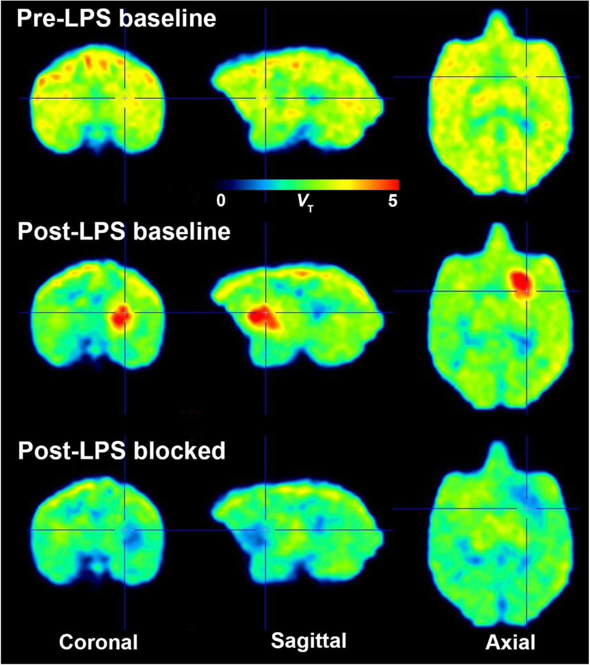 Fig. 7