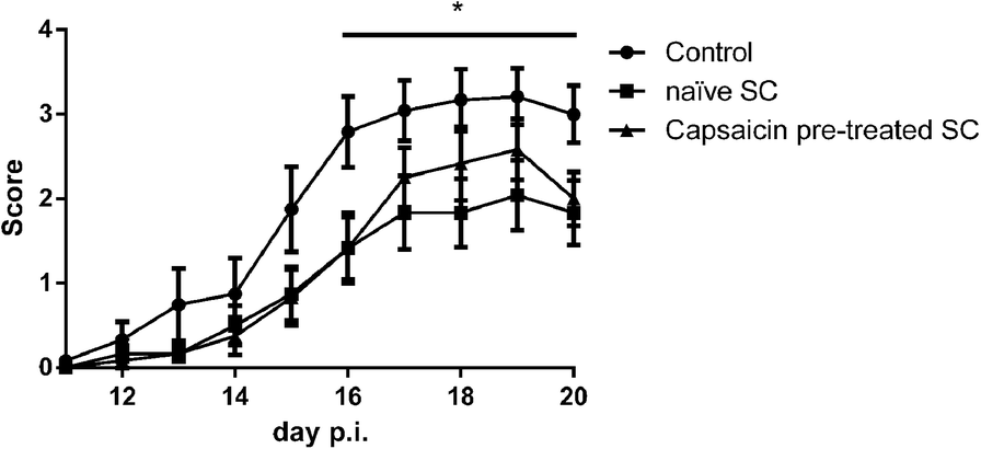 Fig. 10