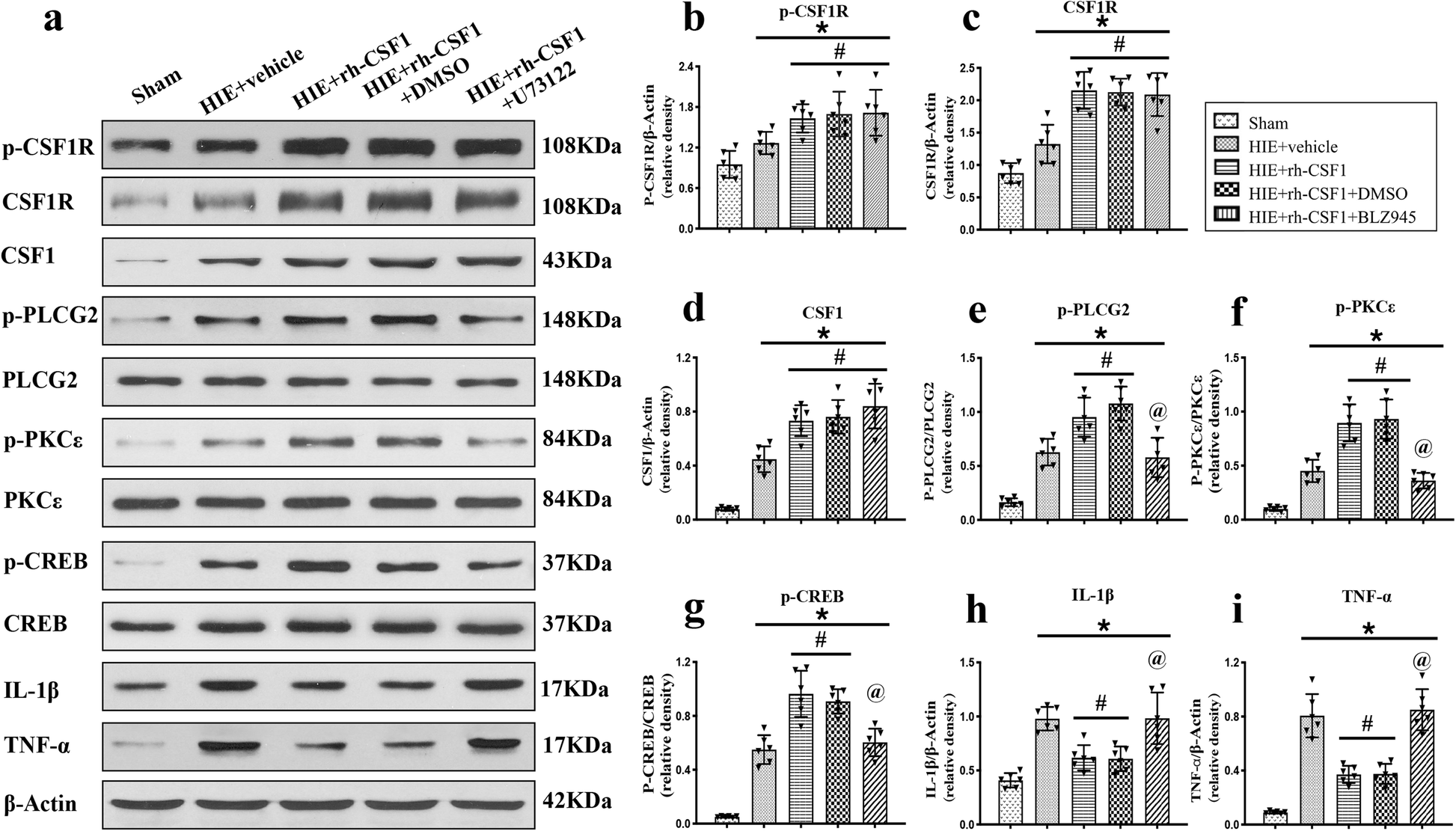 Fig. 9