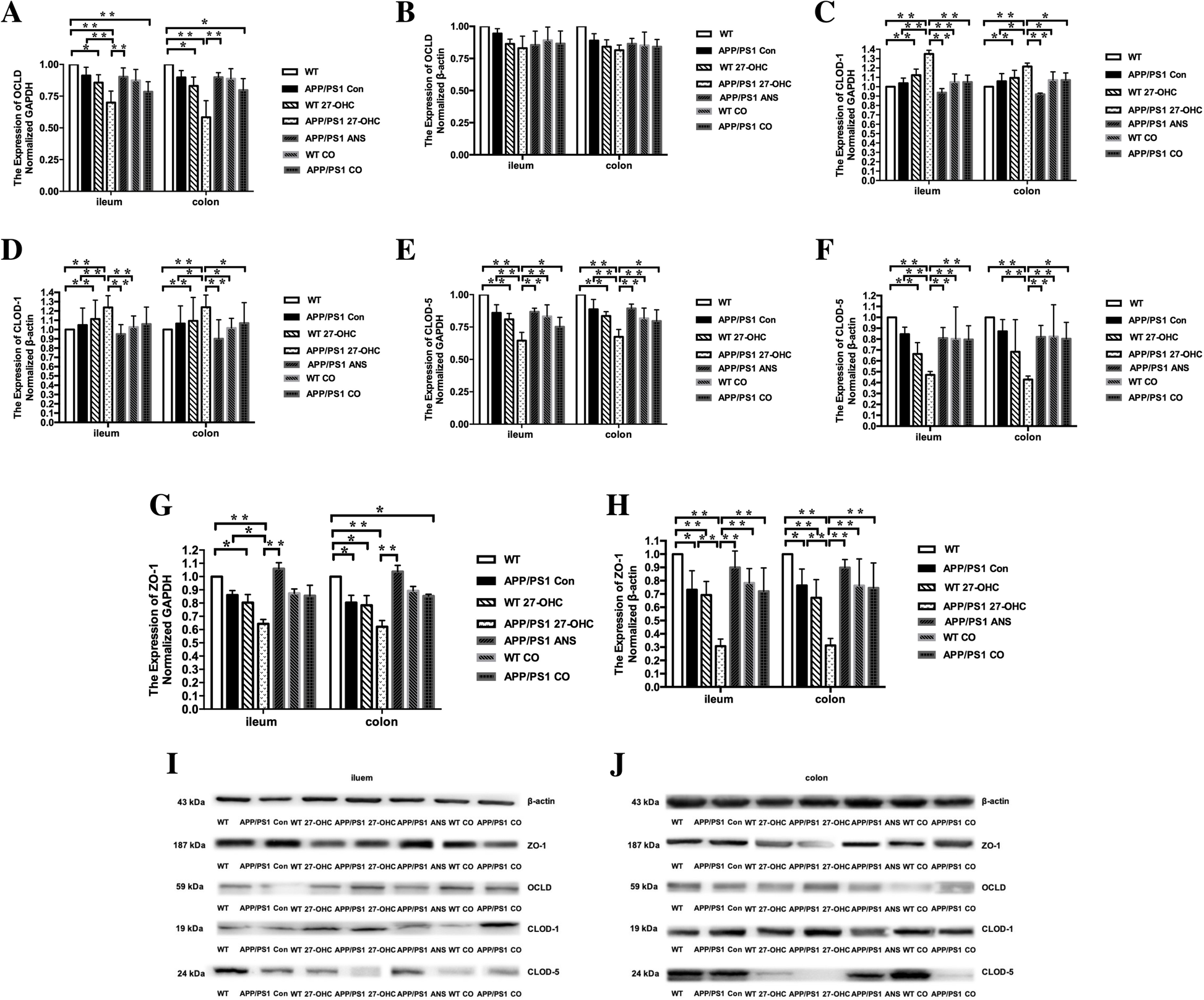 Fig. 17