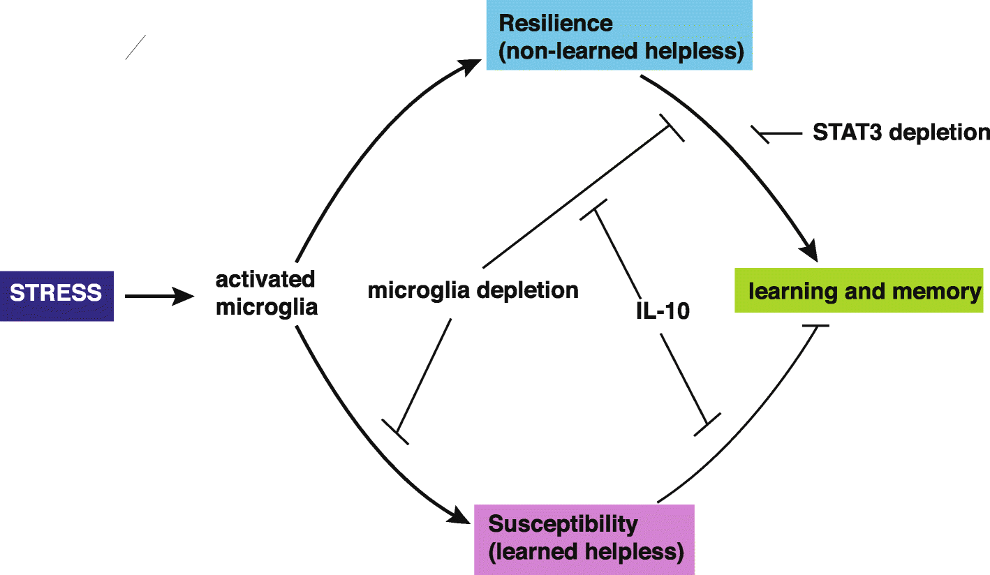 Fig. 8