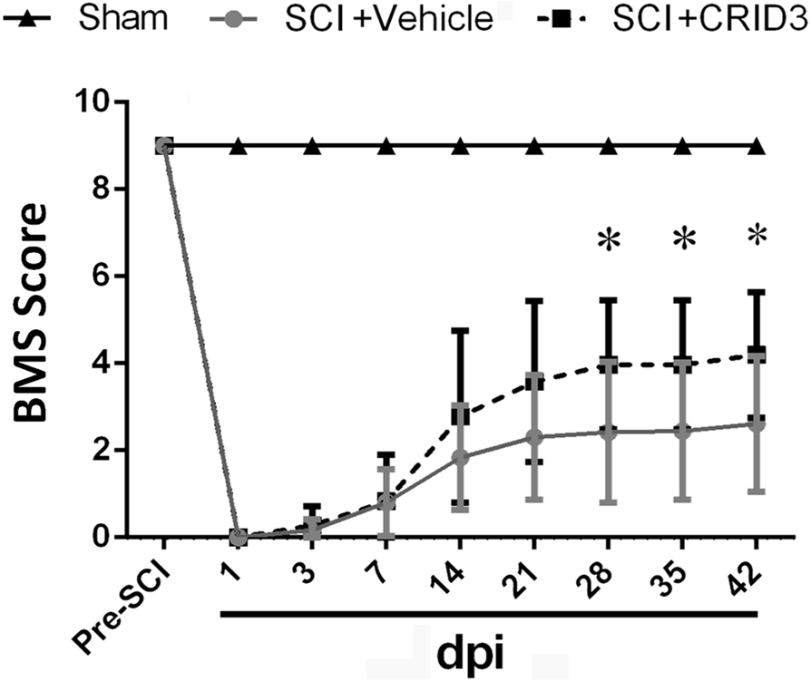 Fig. 11