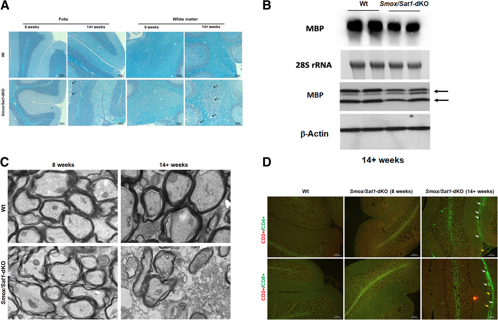 Fig. 9