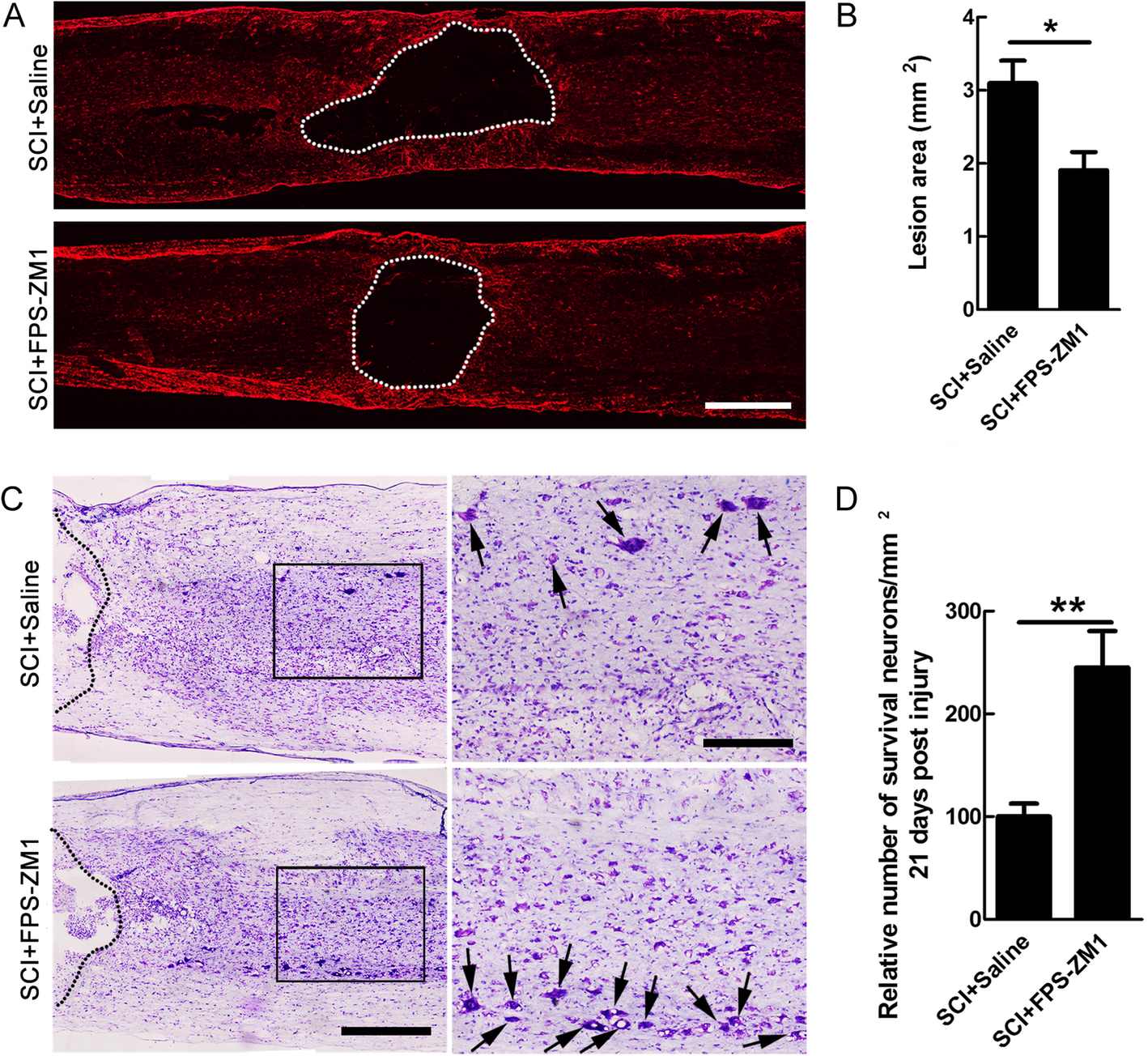 Fig. 7