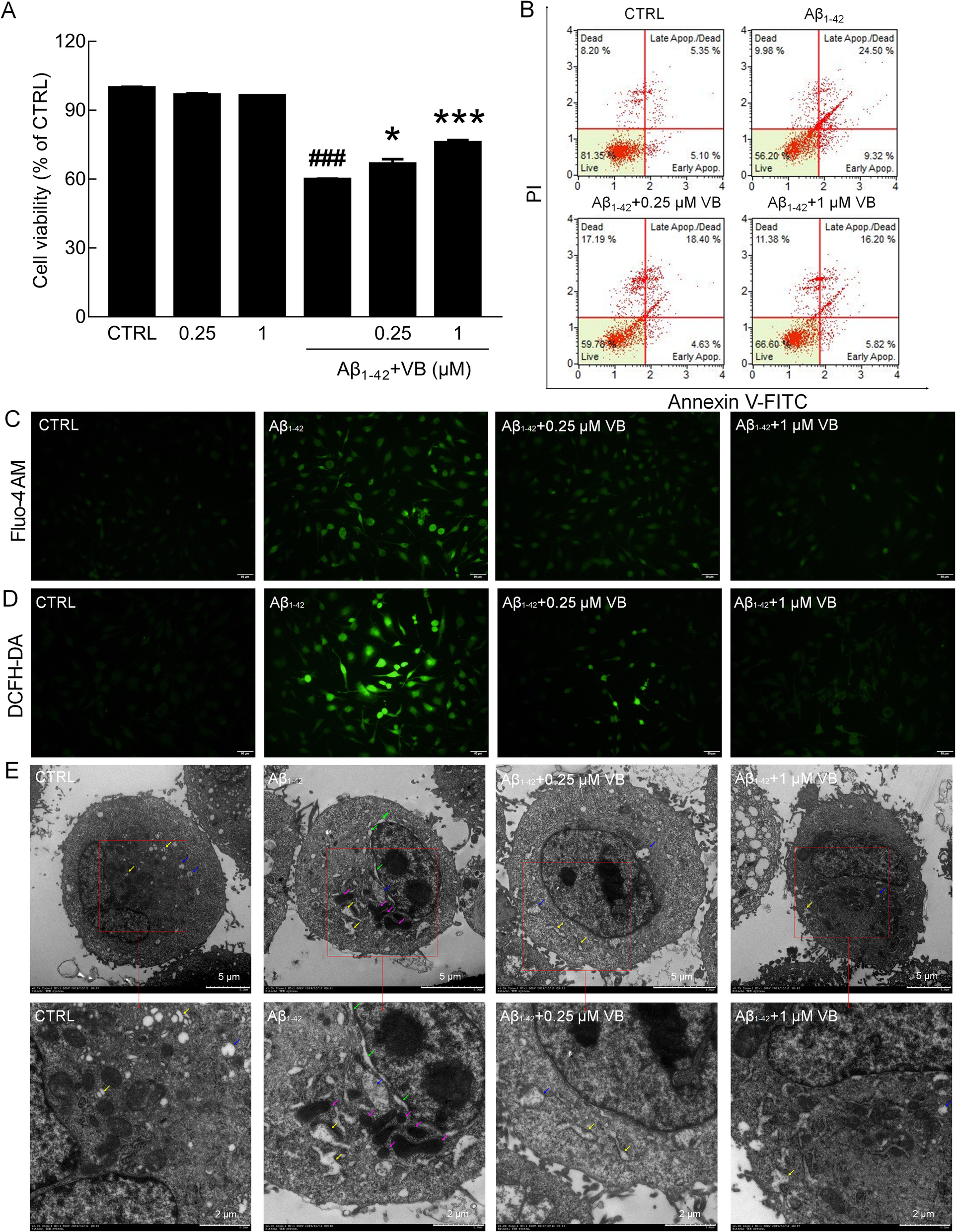 Fig. 2