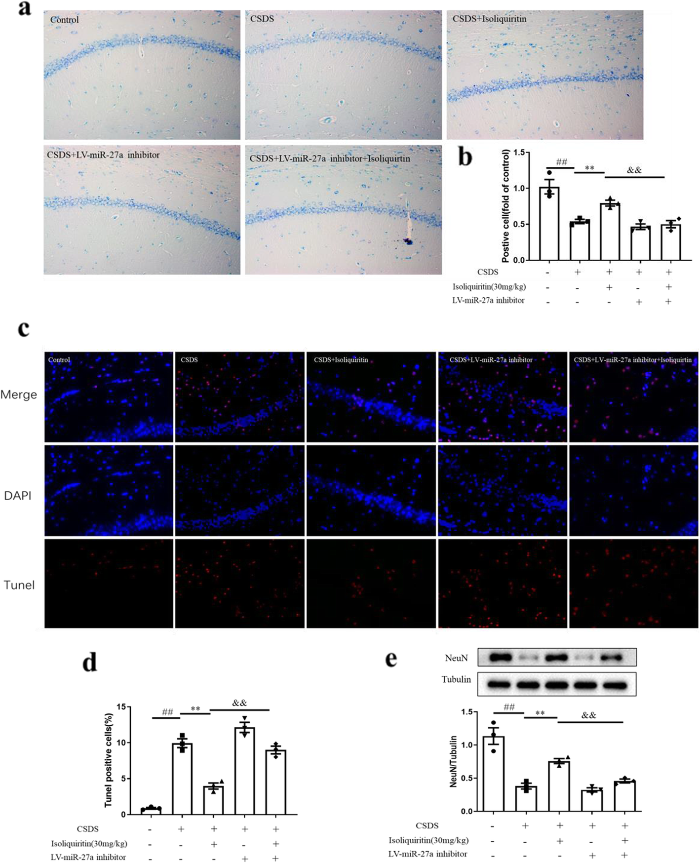 Fig. 13