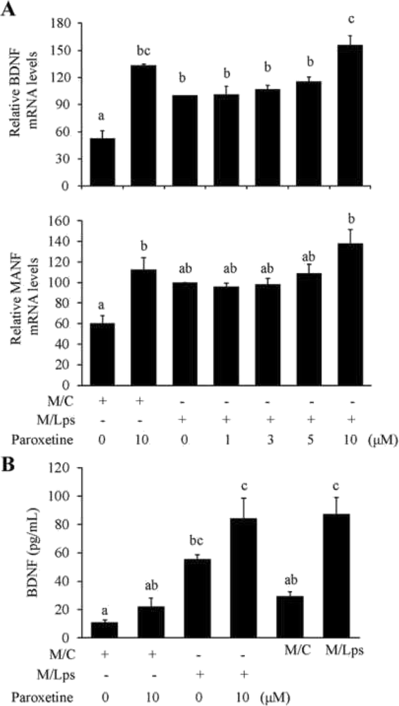 Fig. 10