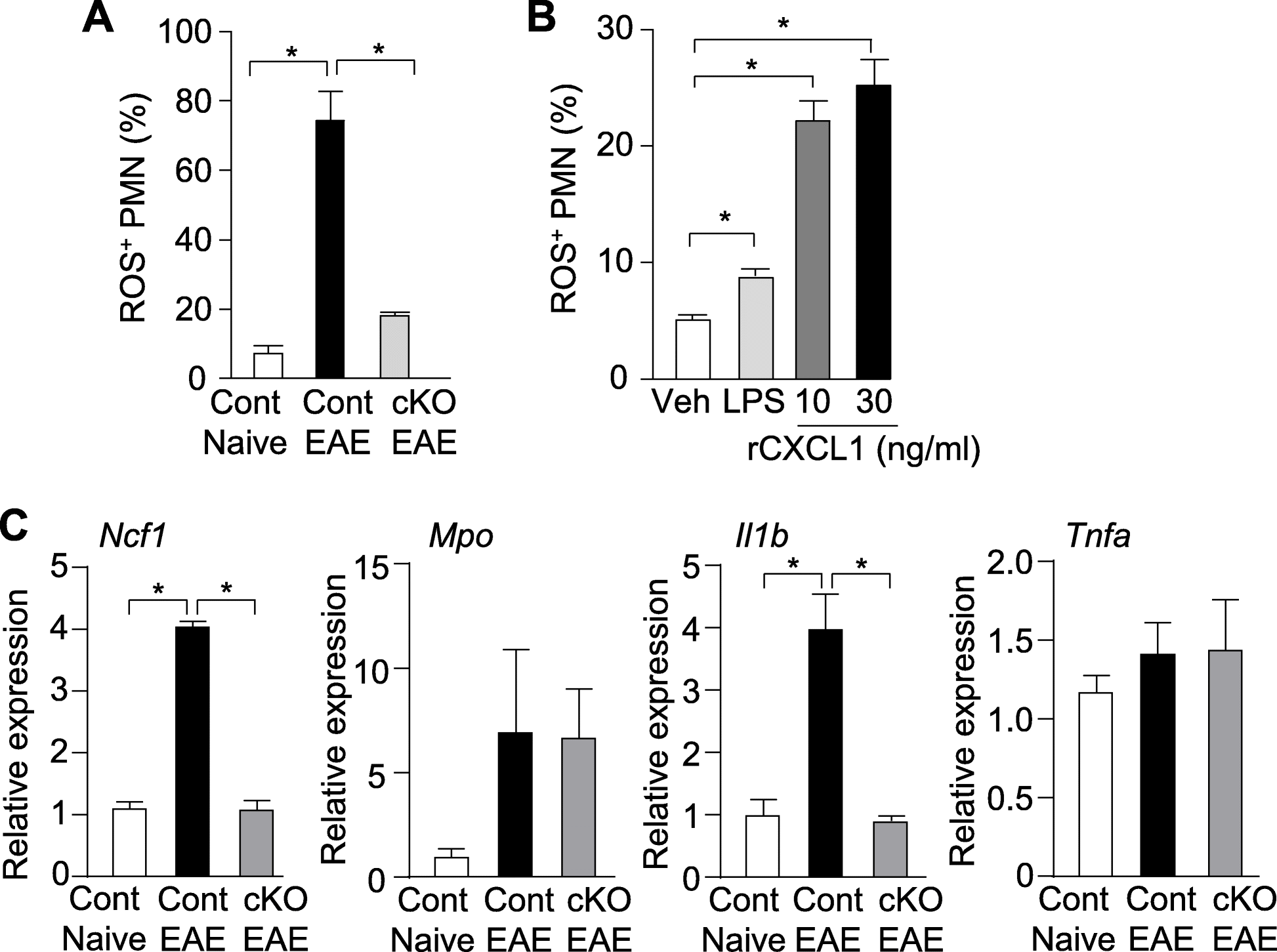 Fig. 6