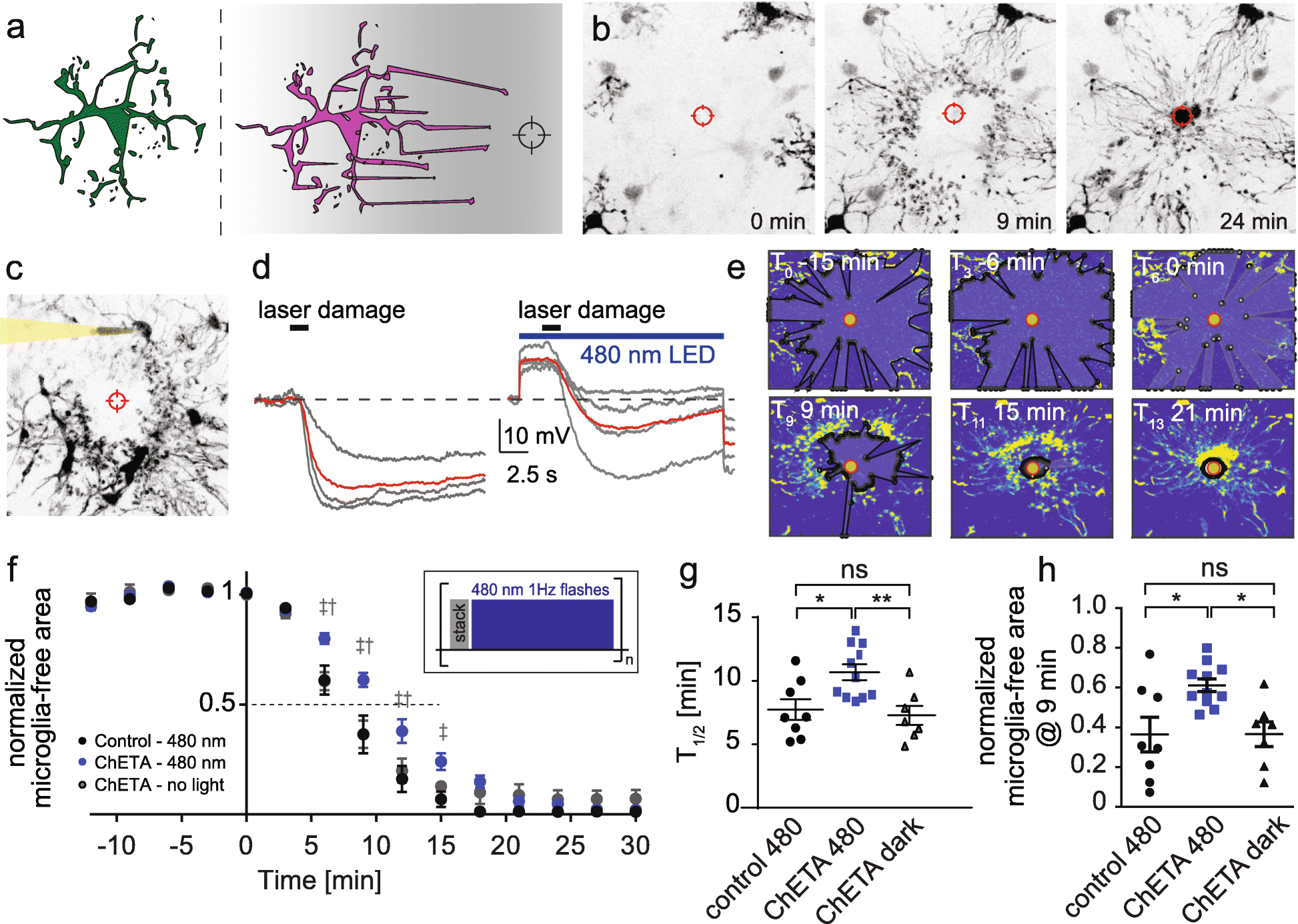 Fig. 3