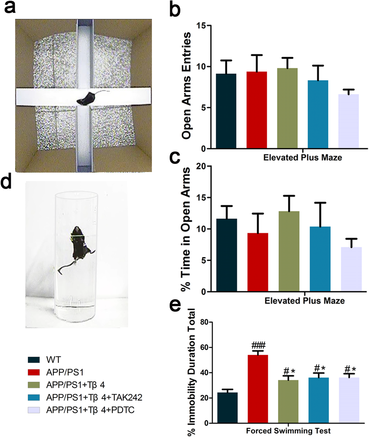 Fig. 10