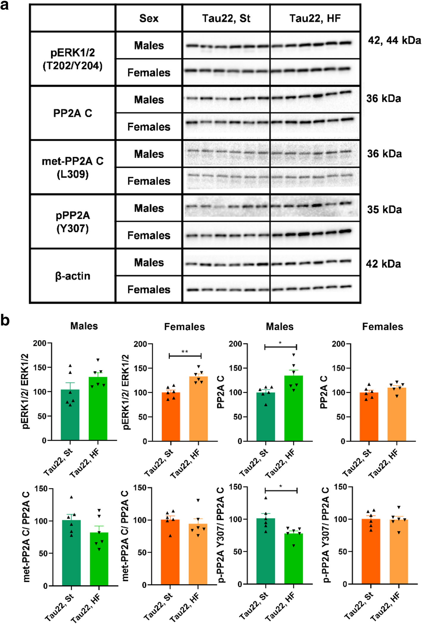 Fig. 12