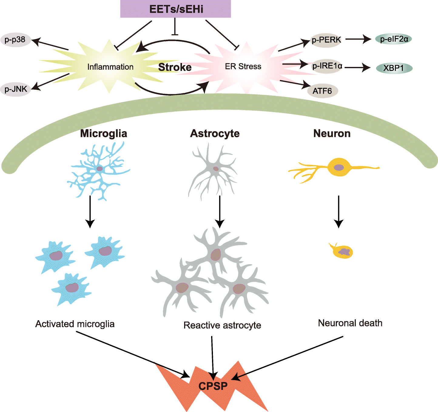 Fig. 8