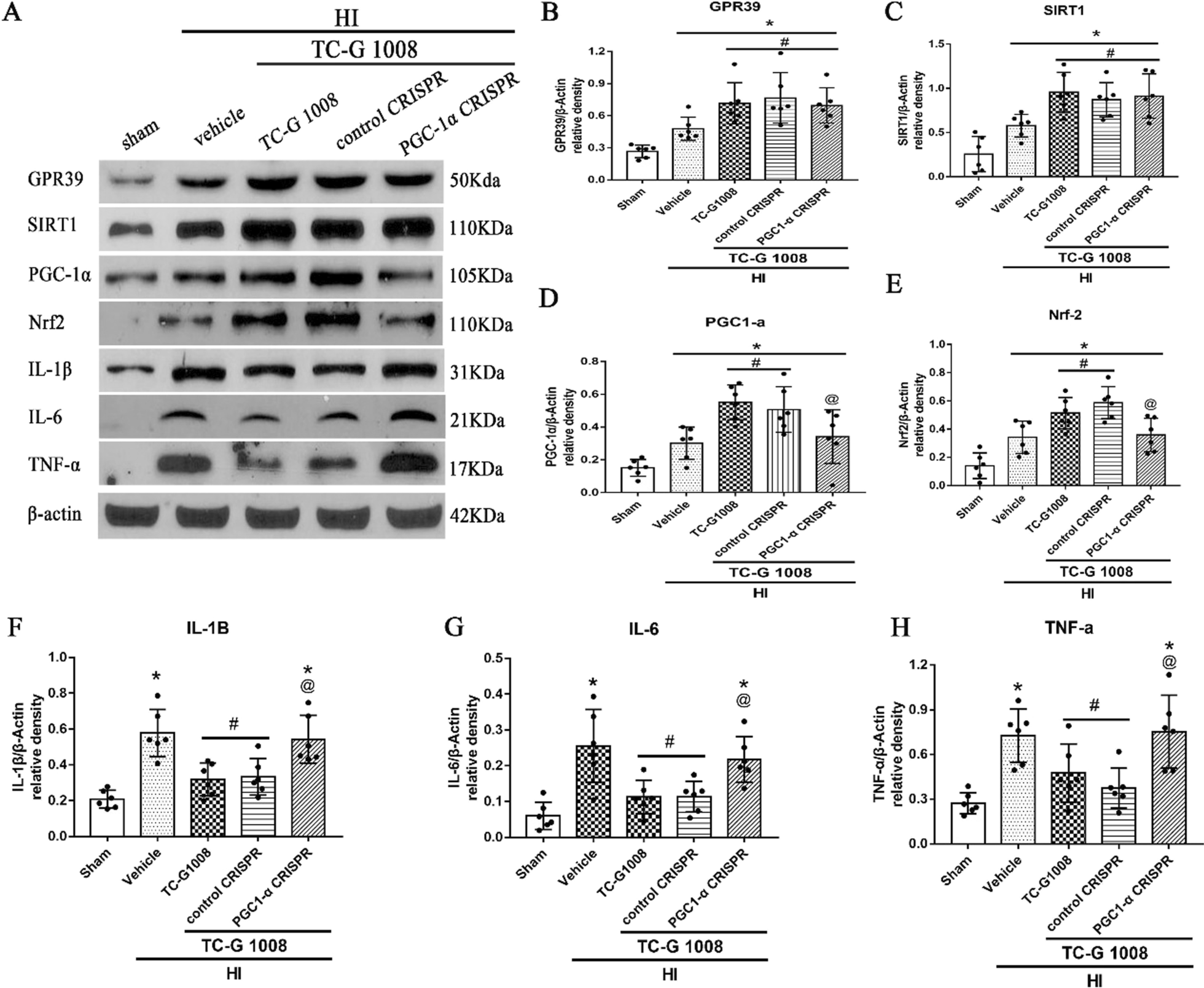 Fig. 9