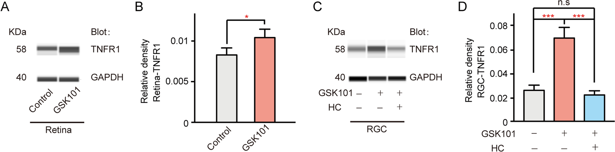 Fig. 10