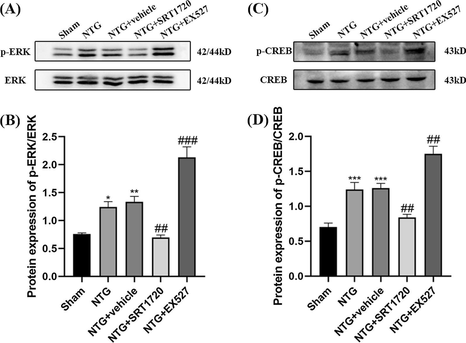 Fig. 11