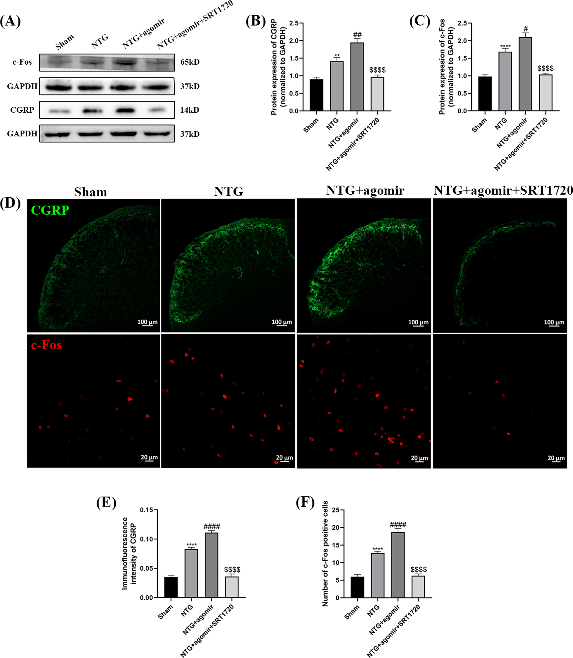 Fig. 13