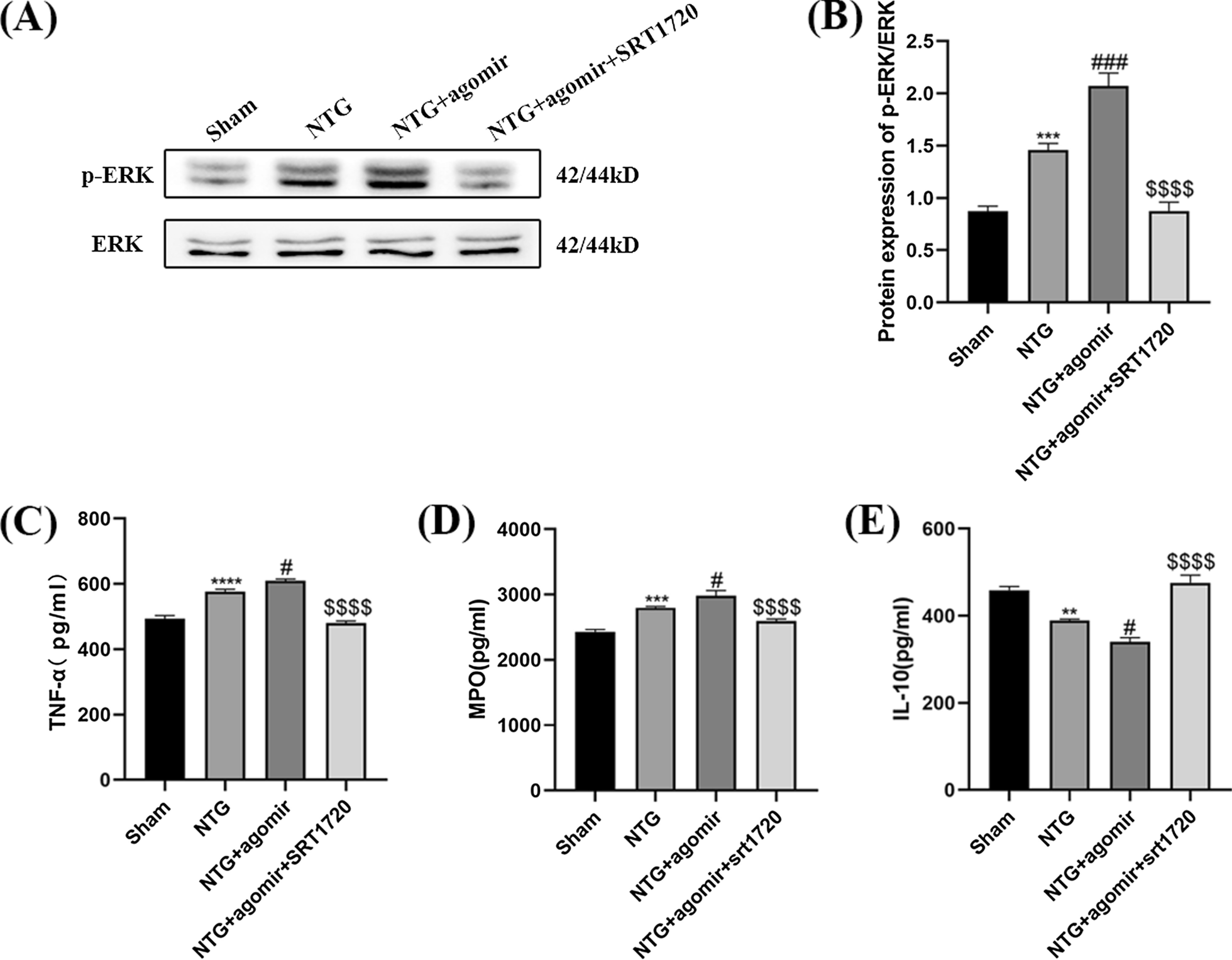 Fig. 14