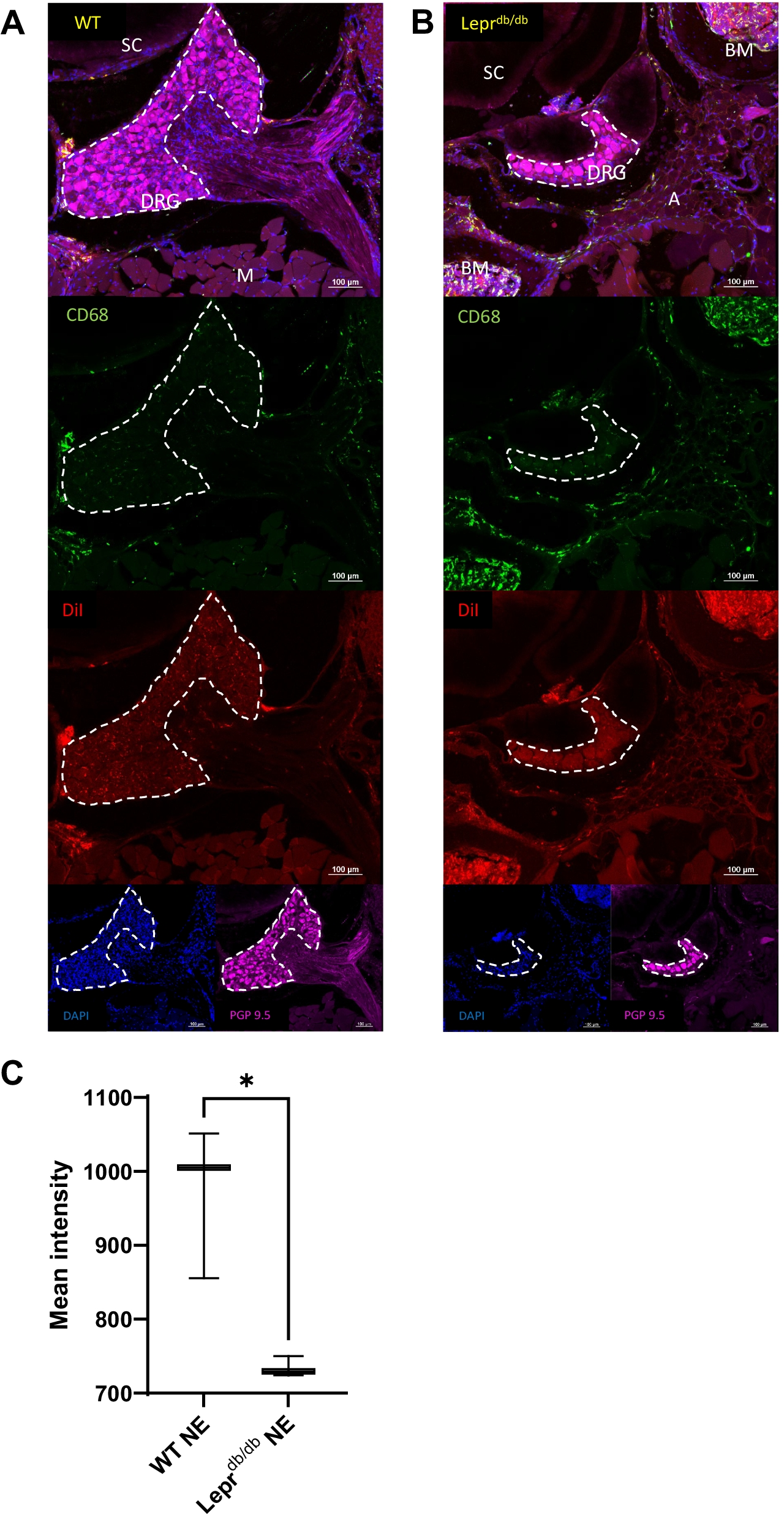 Fig. 11